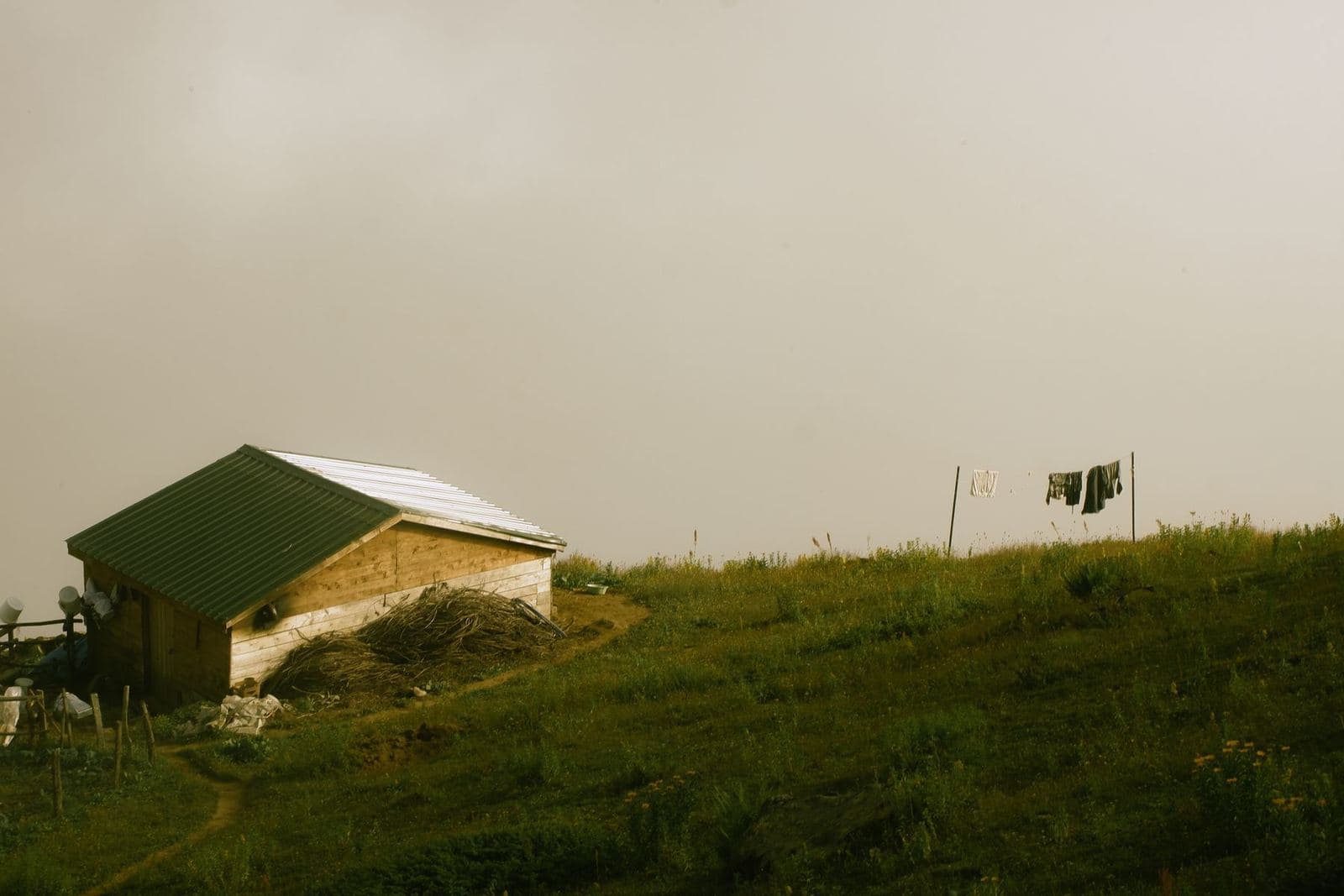 Timber cabin on a grassy hillside