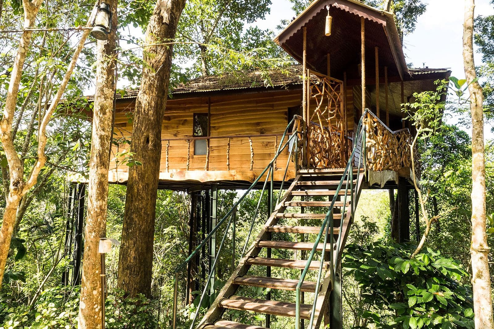 Treehouse cottage among tall trees