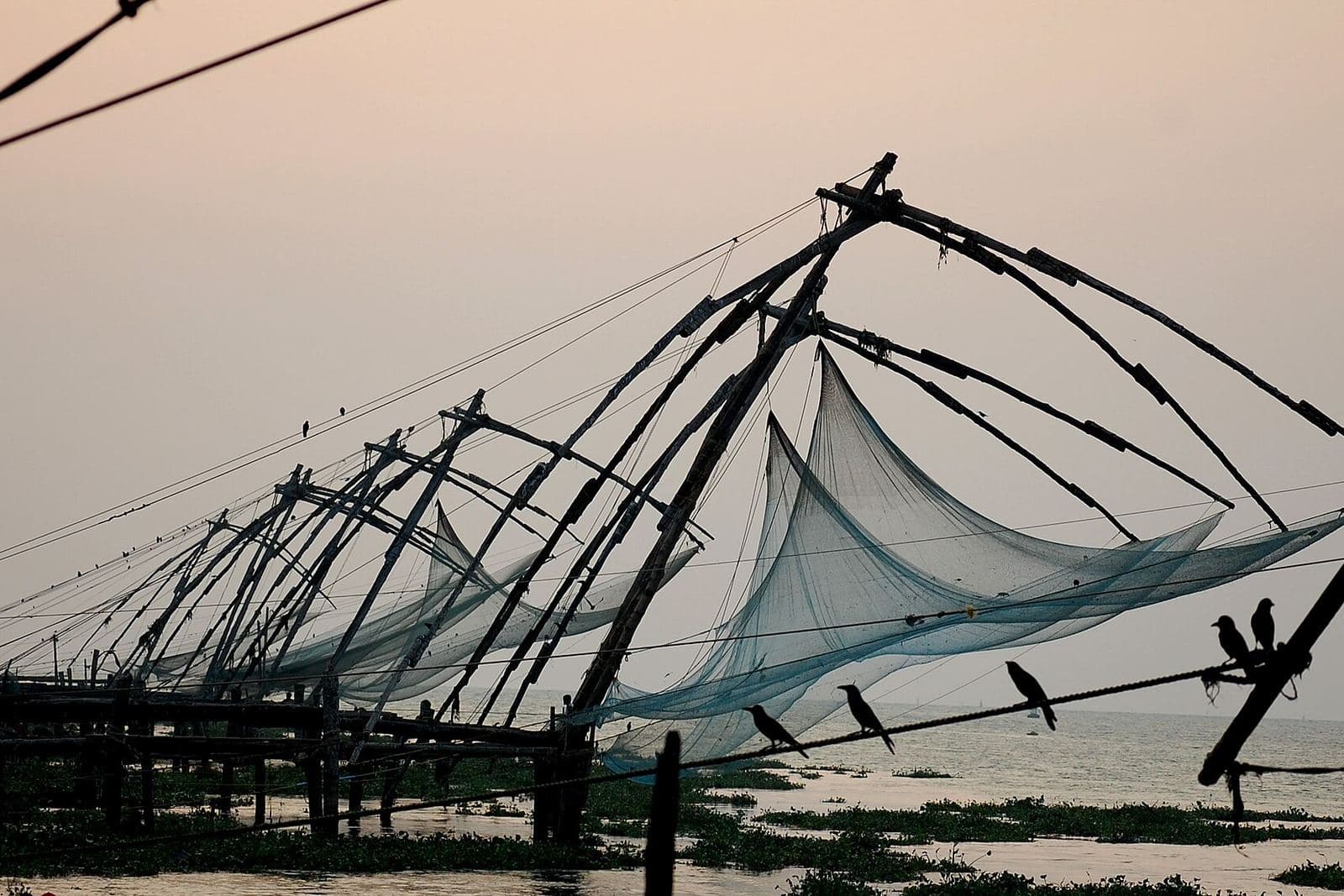 Chinese fishing nets at dusk in Fort Kochi