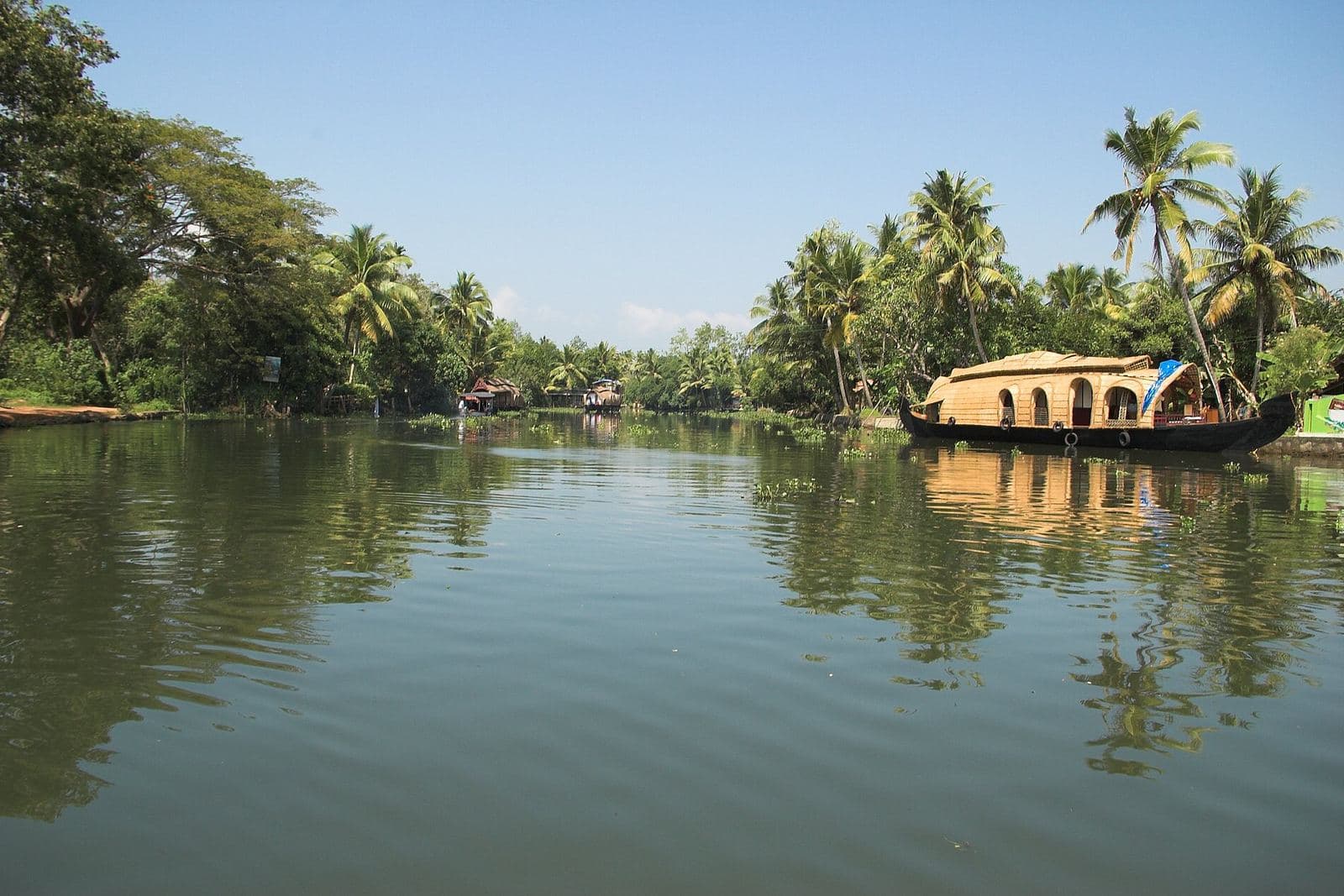 Backwater canal lined with coconut palms in Kumarakom