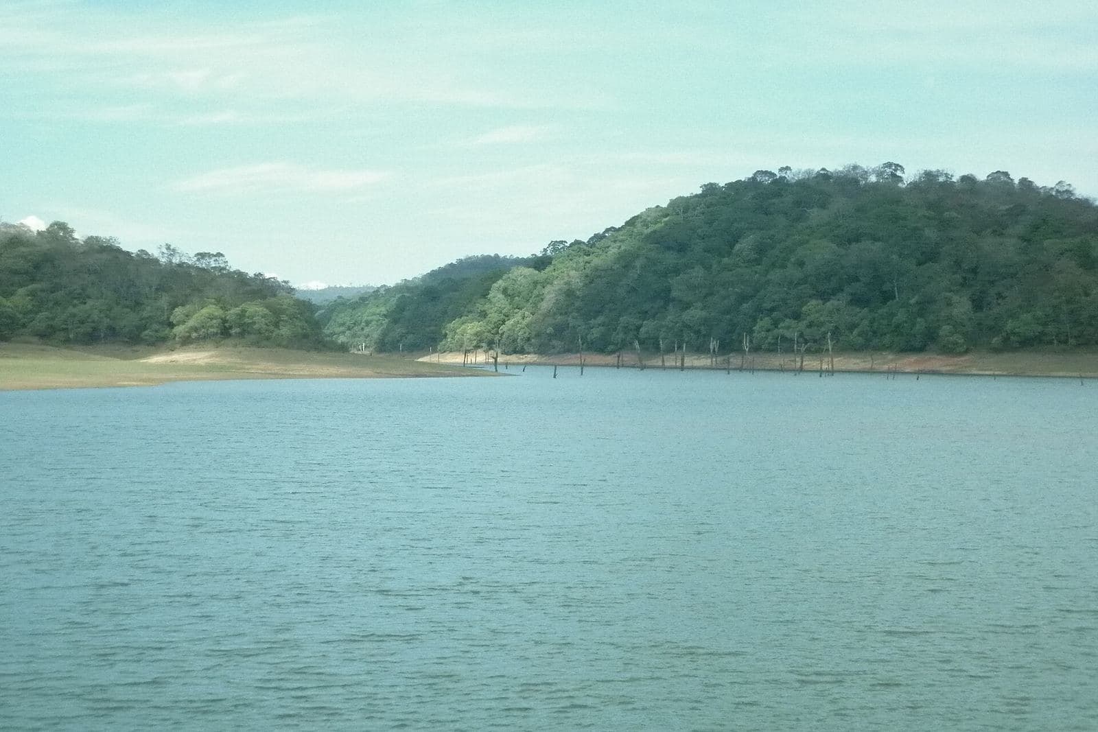 Periyar lake surrounded by forested hills