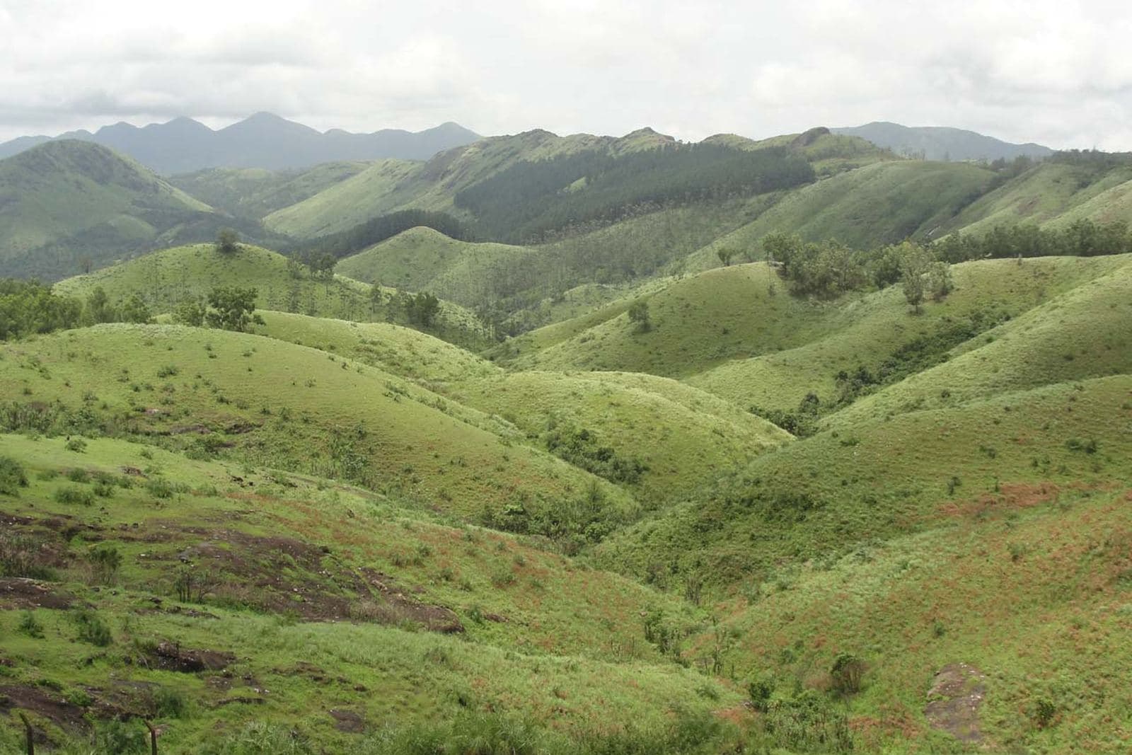 Rolling green meadows of Vagamon